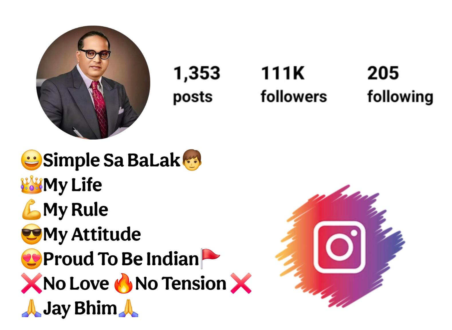 Stylish Instagram Bio Jay Bhim