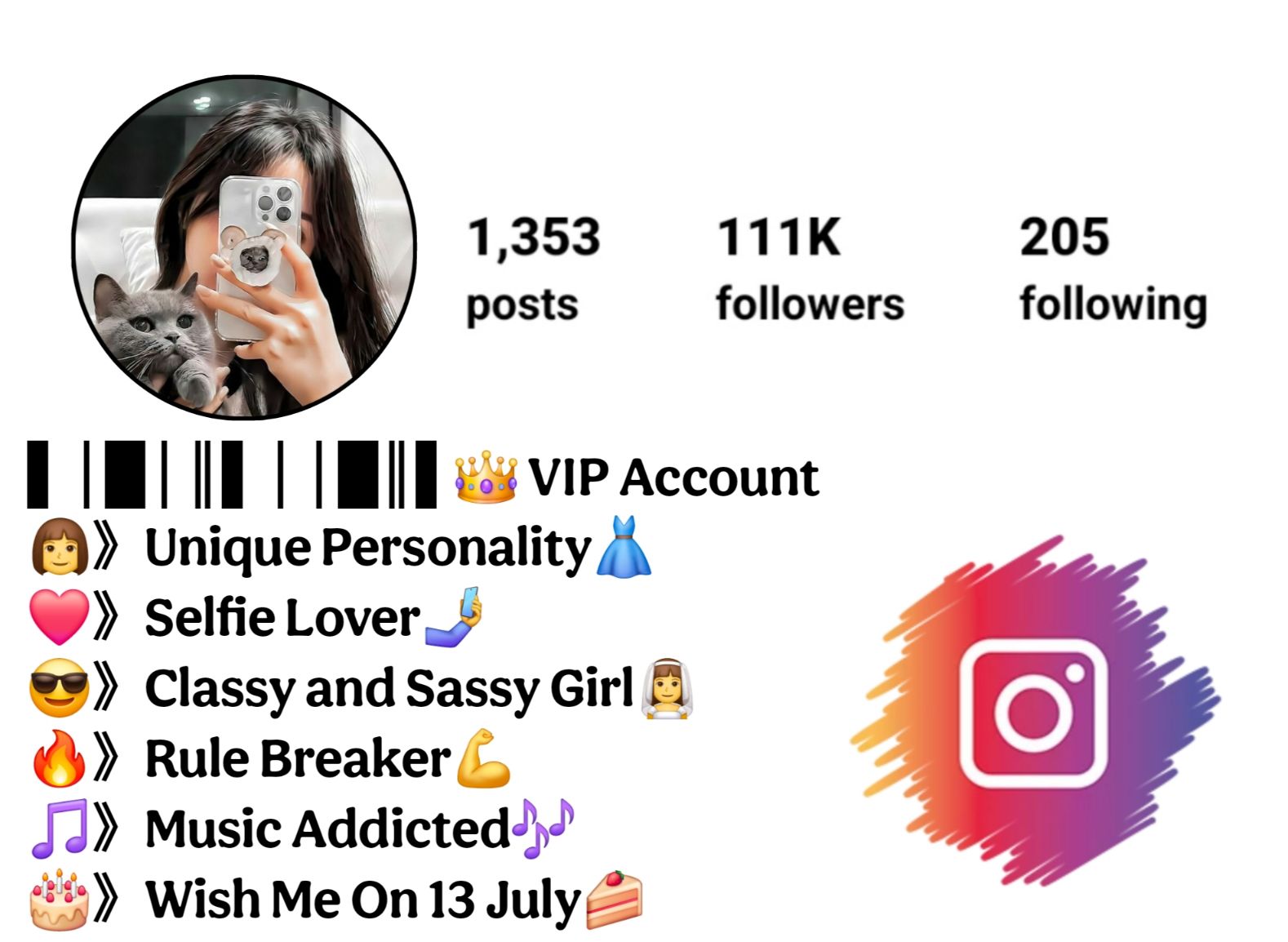 Stylish VIP Instagram Bio For Girls