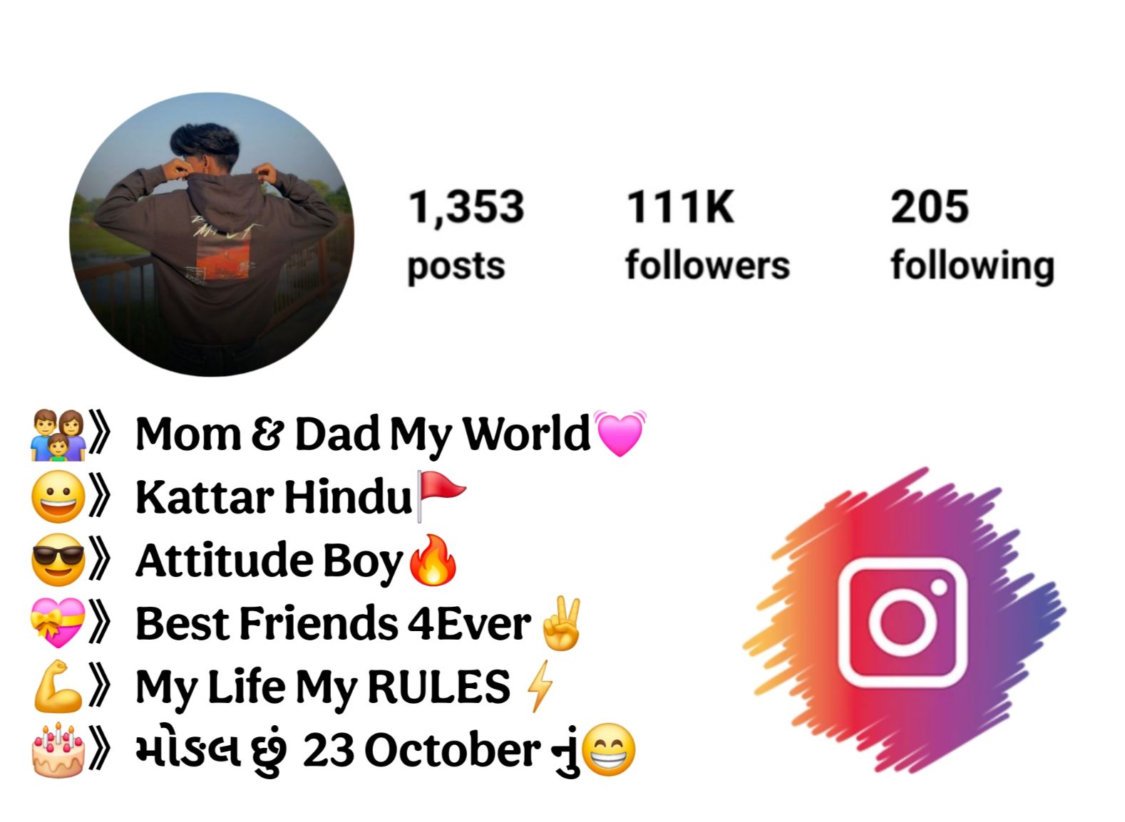 Instagram Bio in Gujarati For Boys