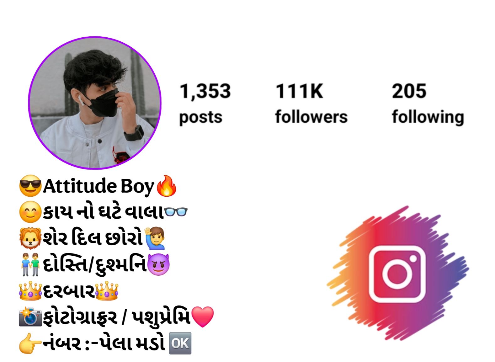 Instagram Bio in Gujarati