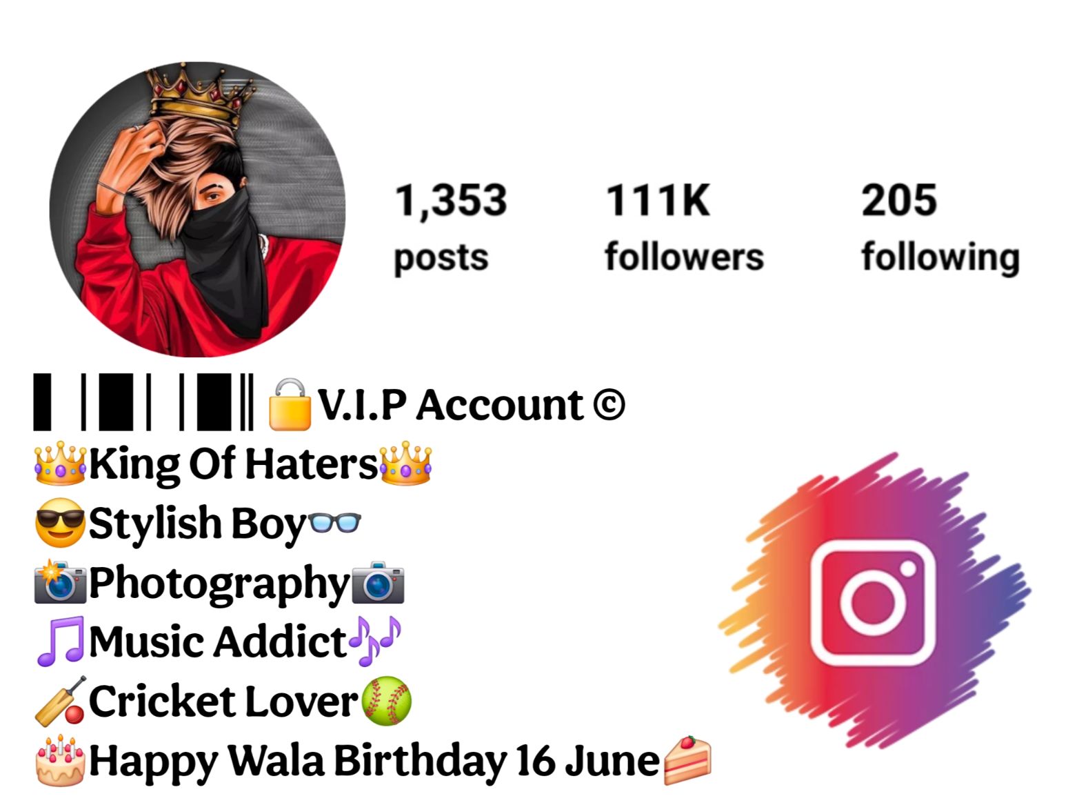 Stylish Instagram Bio in Hindi