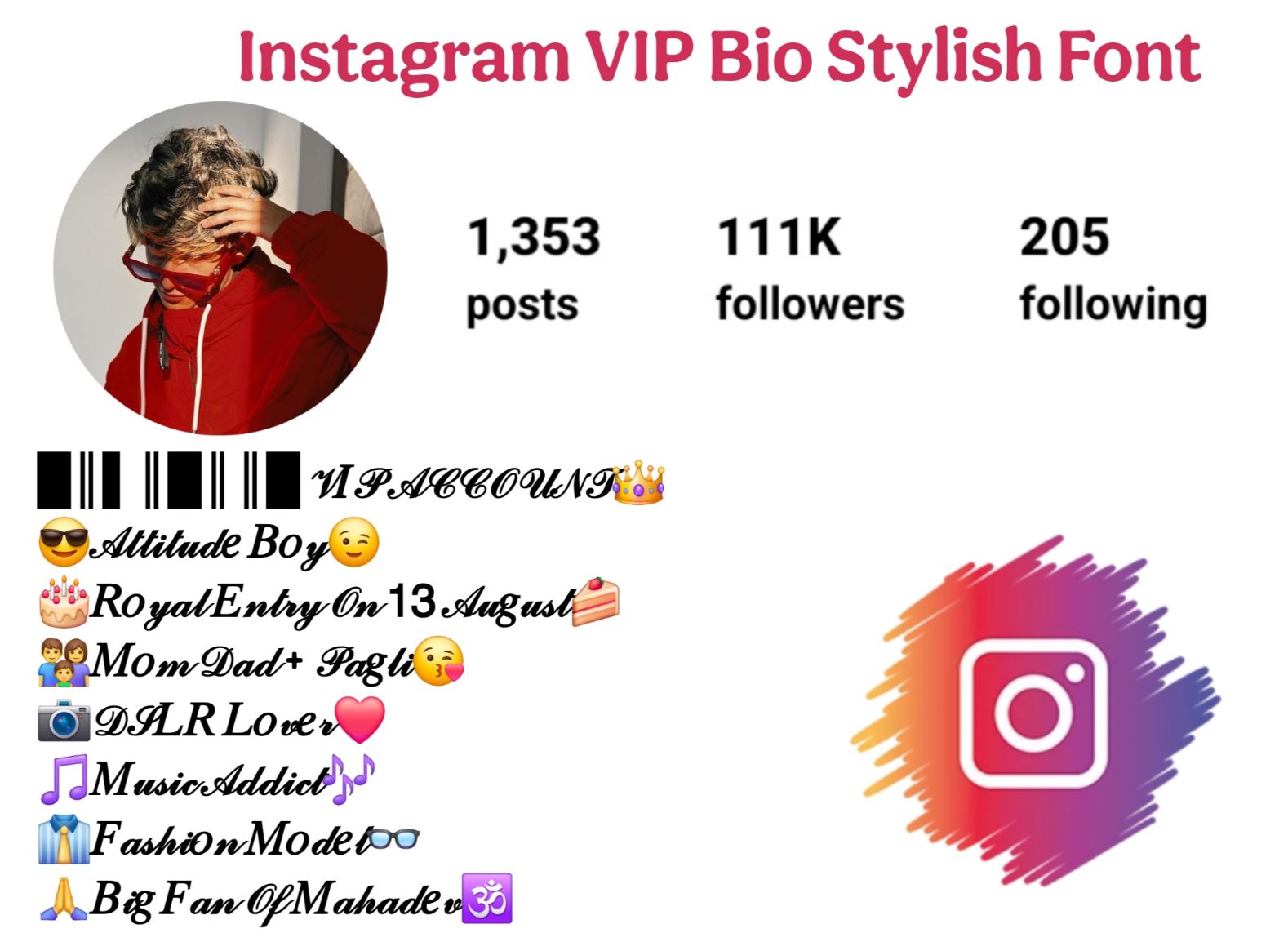 Instagram VIP Bio Stylish Font